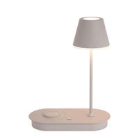 LED SVJETILJKA STOLNA Paterson  - siva, Design, metal/plastika (25/12/33cm) - Novel