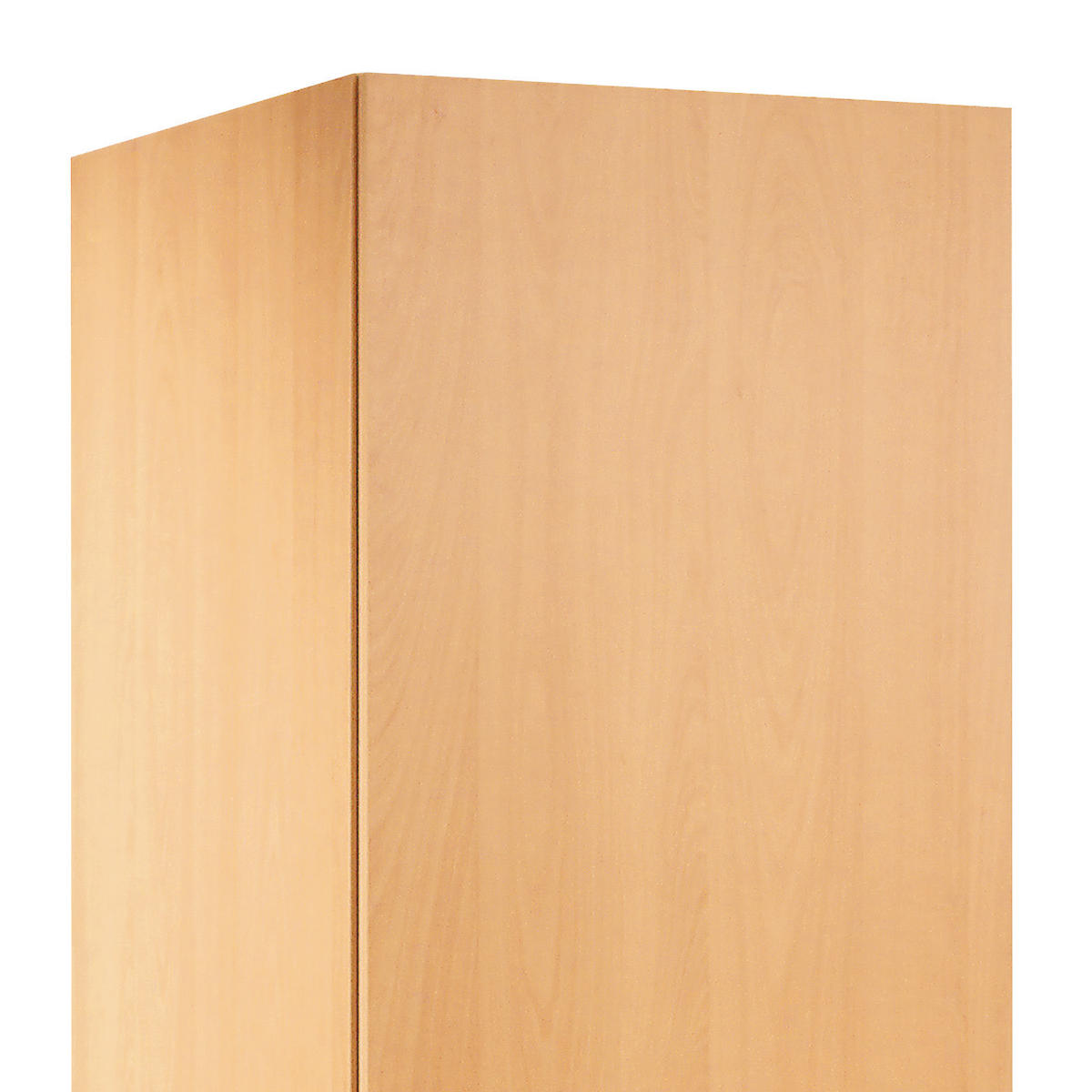 GESCHIRRSCHRANK 50/200/57 cm  in Buchefarben  - Edelstahlfarben/Buchefarben, MODERN, Holzwerkstoff/Kunststoff (50/200/57cm) - FlexWell