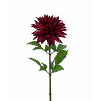 DAHLIE Dahlie  - Violett, LIFESTYLE, Kunststoff (74cm)