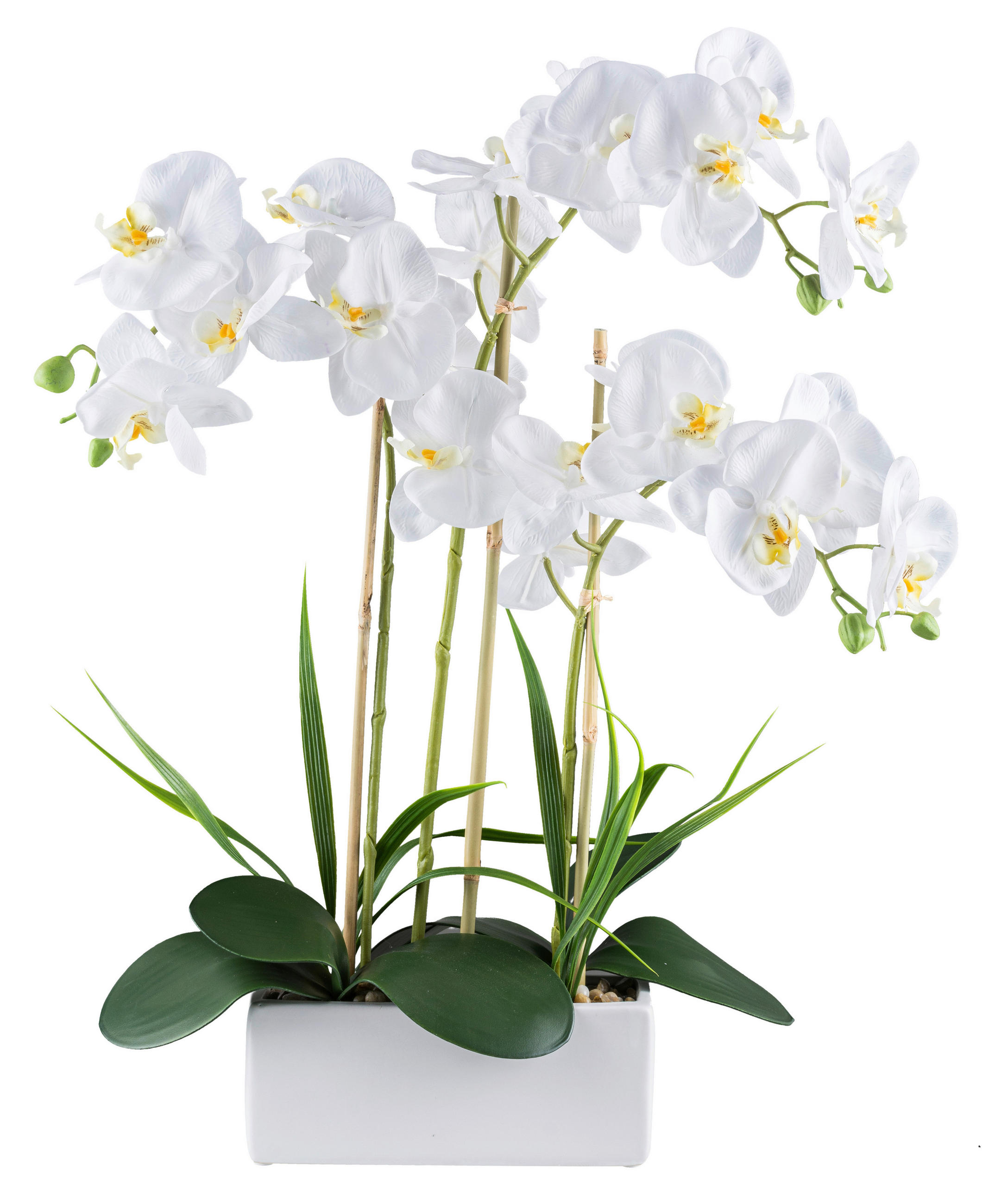 KUNSTPFLANZE Orchidee 58 cm  - Weiß/Grün, Design, Keramik/Kunststoff (58cm) - P & B
