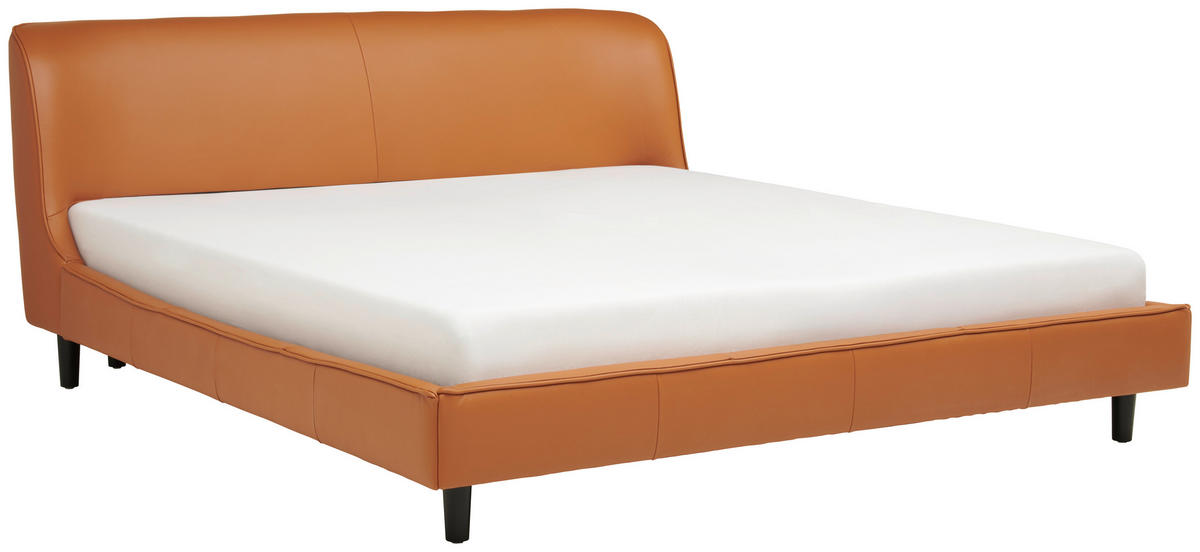 TAPECIRANI KREVET   180/200 cm   smeđa  - crna/smeđa, Moderno, koža/drvo (180/200cm) - Livetastic