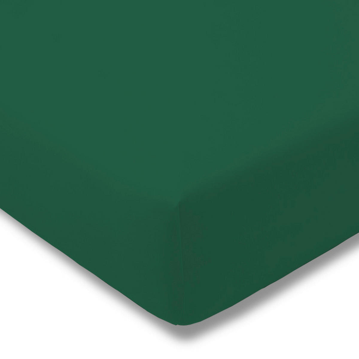 SPANNLEINTUCH 200/200 cm Zwirn-Jersey  - Grün, Basics, Textil (200/200cm) - Estella