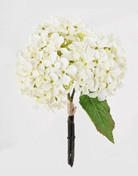 MŰNÖVÉNY - barna/fehér, Basics, műanyag