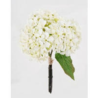 MŰNÖVÉNY - barna/fehér, Basics, műanyag