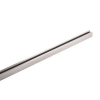 SKENSYSTEM 100 CM m6 HV Track 4 100 cm   - nickelfärgad, Basics, metall (100cm) - Fischer & Honsel