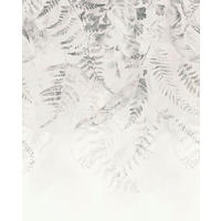 VLIESTAPETE  - Schwarz/Weiß, Basics (200/250cm) - Xora