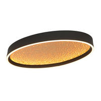 PLAFONIERĂ CU LED - auriu/negru, Design, plastic/metal (60/35/6,5cm)