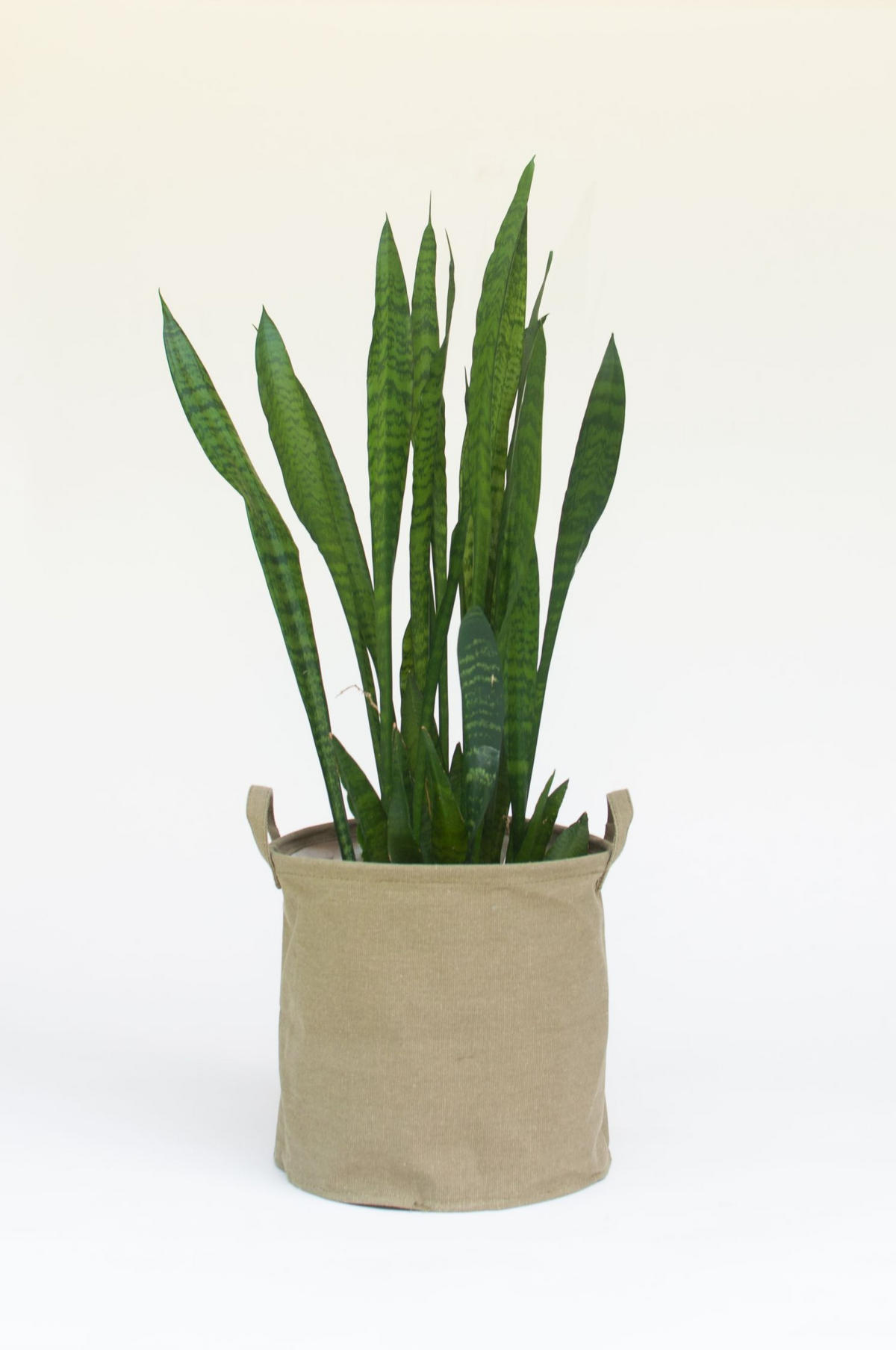 OKRASNA KOŠARA       - zelena, Basics, tekstil (30/30/30cm)