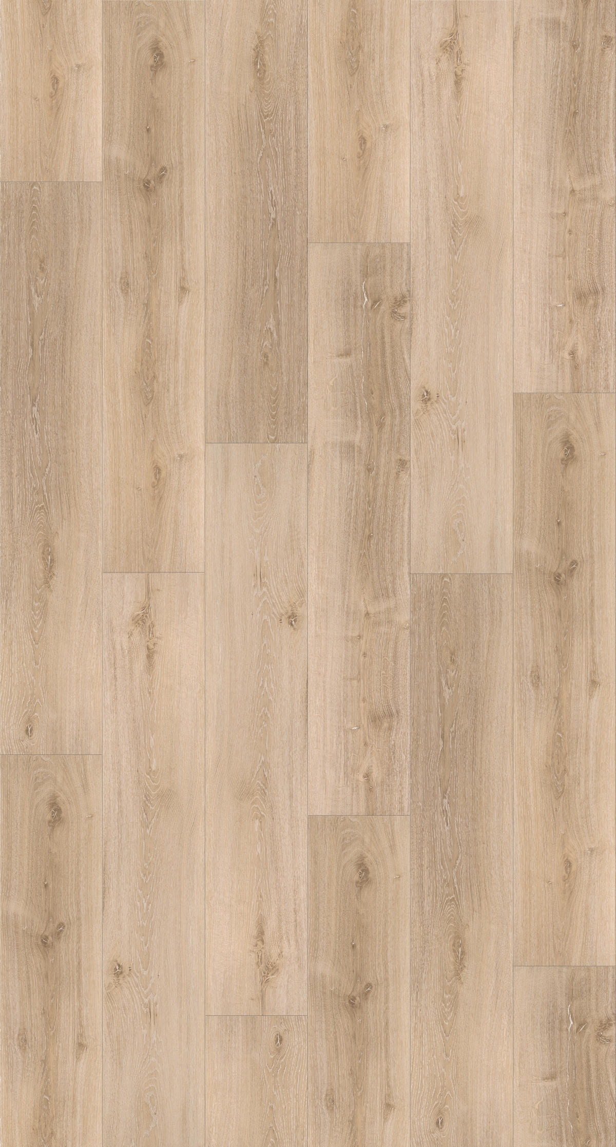 DESIGNBODEN BASIC 30 1604831  per  m² - Hellbraun/Eichefarben, Basics, Holzwerkstoff/Kunststoff (120,7/21,6/0,94cm) - Parador