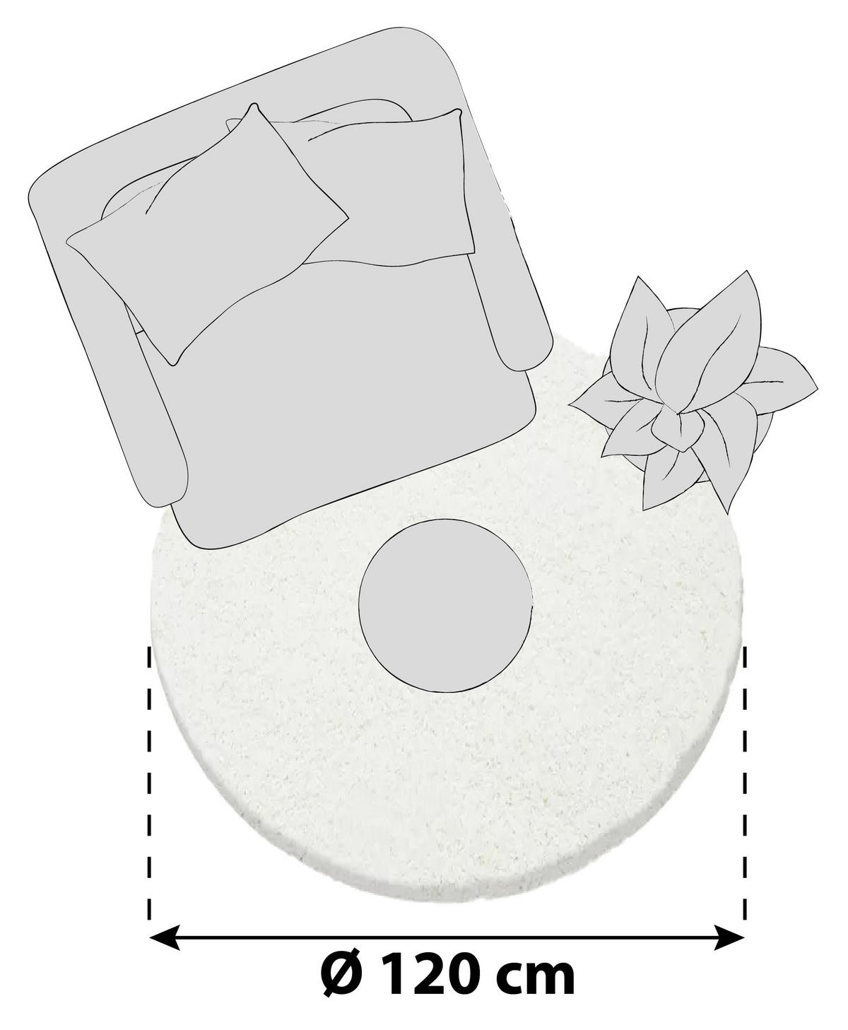 HOCHFLORTEPPICH 120 cm Dream 4000 Creme  - Creme, KONVENTIONELL, Textil (120cm) - Novel