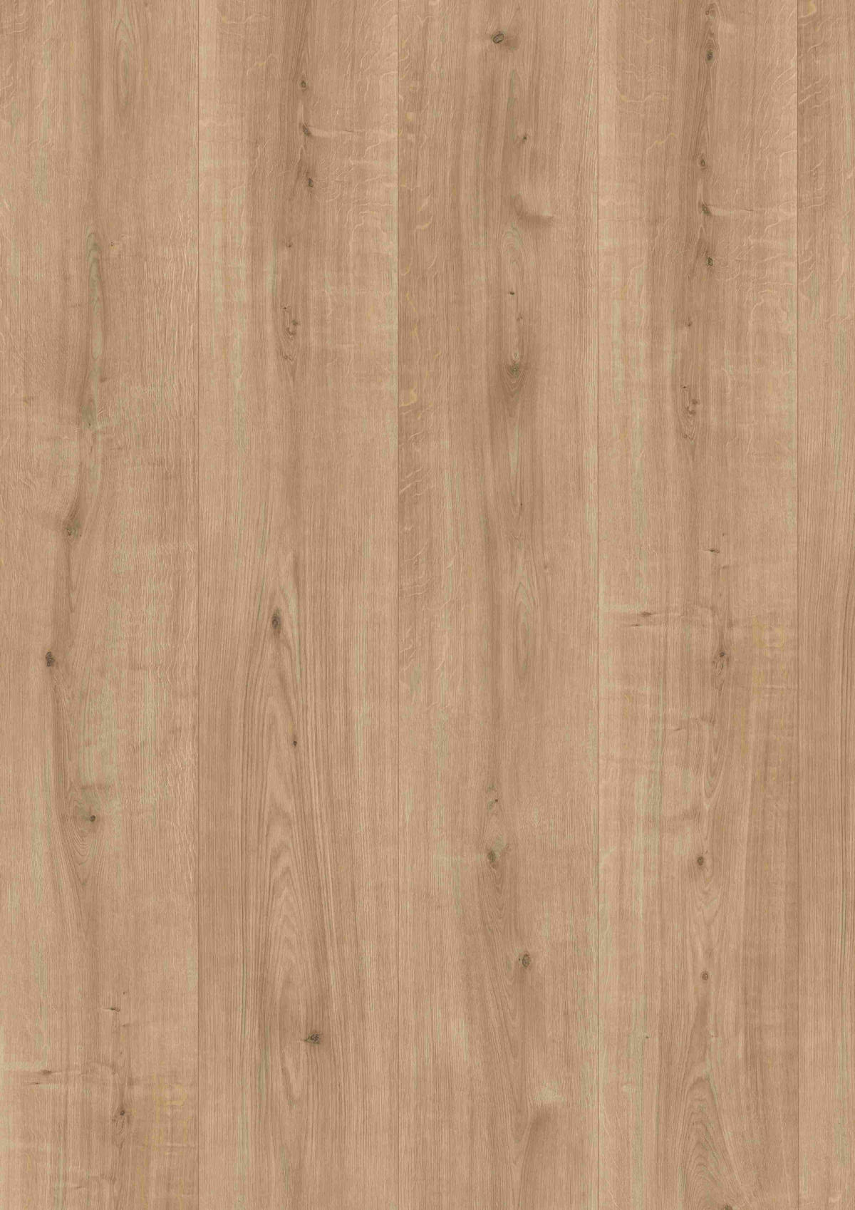 LAMINATBODEN Ortega Eiche  per  m² - KONVENTIONELL, Holzwerkstoff (129,2/32,7/0,8cm) - Venda
