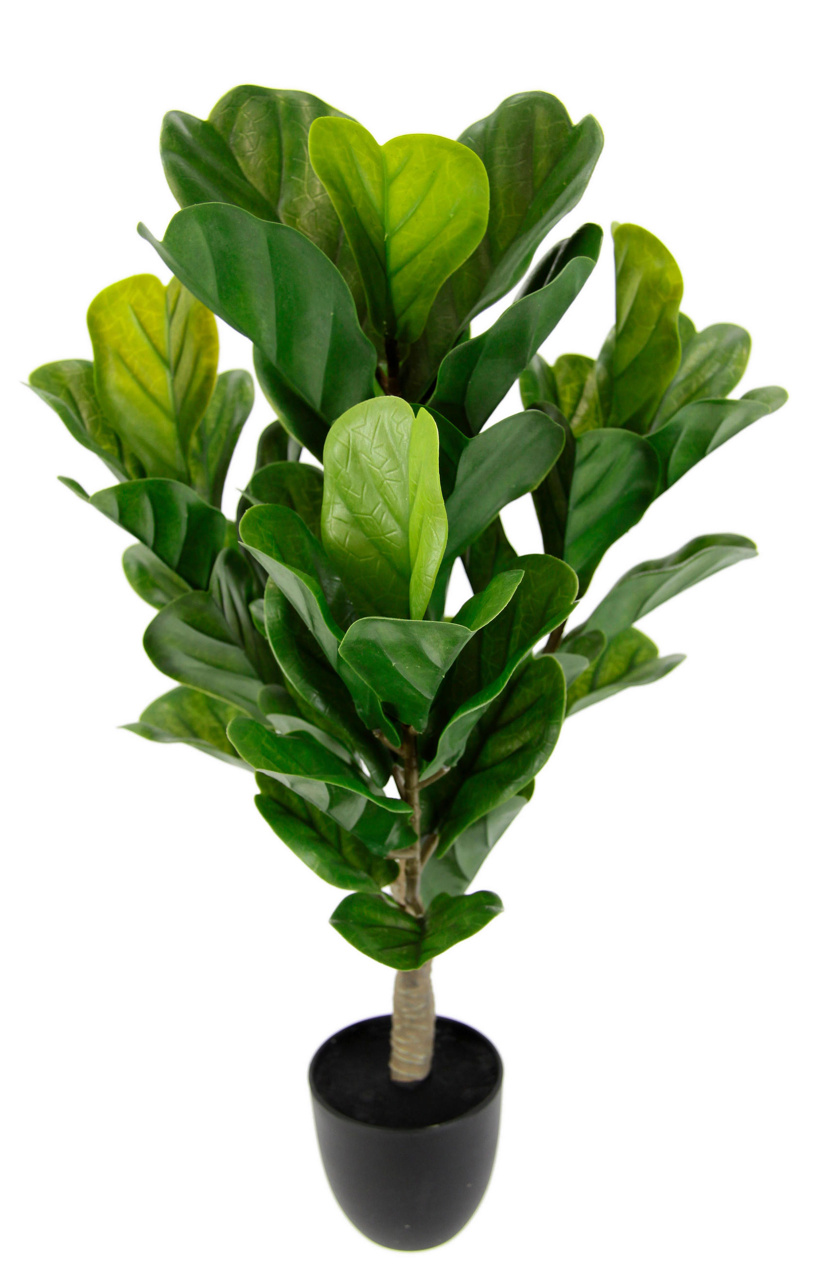 XXXLutz Kunstpflanze Grün 64 cm