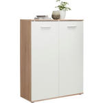 SCHUHSCHRANK 90/118/36 cm  - Silberfarben/Weiß, Design, Holzwerkstoff/Kunststoff (90/118/36cm) - Carryhome