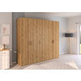 DREHTÜRENSCHRANK 251/223/60 cm 5-türig Eichefarben  - Eichefarben/Silberfarben, Design, Holzwerkstoff/Kunststoff (251/223/60cm) - Novel
