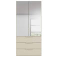 DREHTÜRENSCHRANK 101/223/61 cm,  in Champagner, 2-türig  - Champagner, Basics, Glas/Holzwerkstoff (101/223/61cm) - Novel