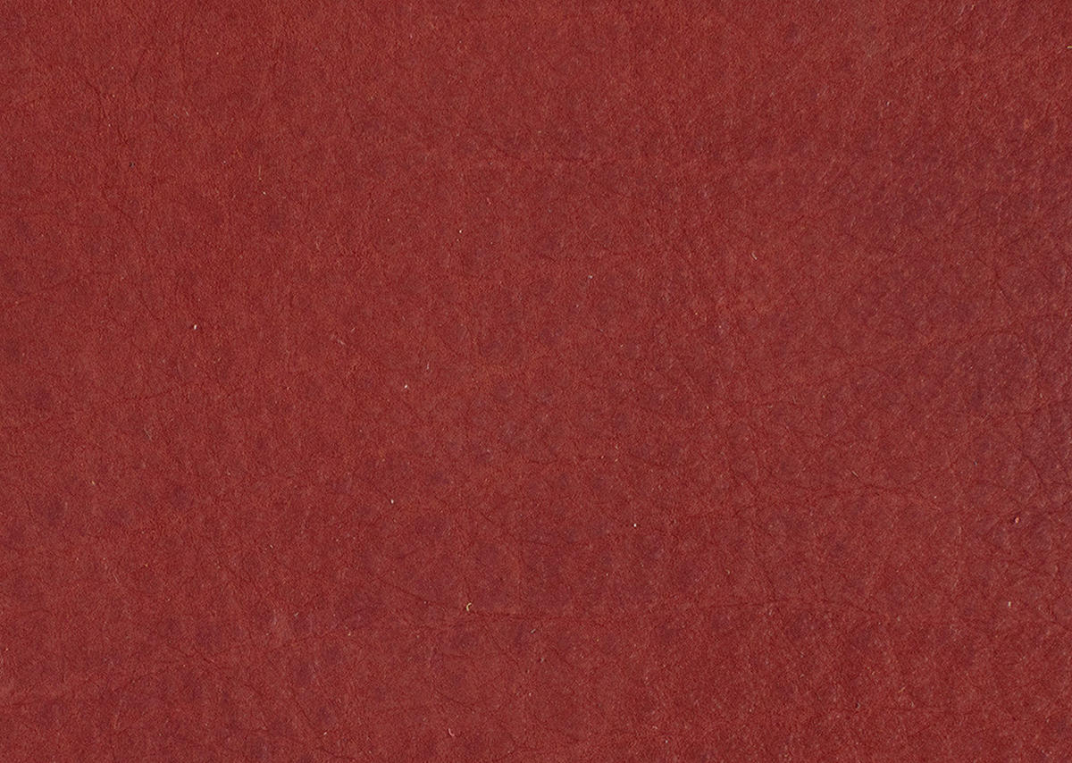 ARMLEHNSTUHL  in Echtleder naturbelassen  - Wildeiche/Bordeaux, Design, Leder/Holz (63/74-90/57-73cm) - Koinor