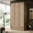 DREHTÜRENSCHRANK  in Sonoma Eiche  - Alufarben/Sonoma Eiche, KONVENTIONELL, Holzwerkstoff/Kunststoff (121/176/51cm) - Carryhome