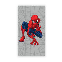GYEREKSZŐNYEG  DISNEY CARPET  - szürke, Basics, műanyag/textil (80/150cm)