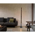 LED-STEHLEUCHTE Oxira 18/140 cm  - Multicolor/Schwarz, Design, Kunststoff/Metall (18/140cm) - Dieter Knoll