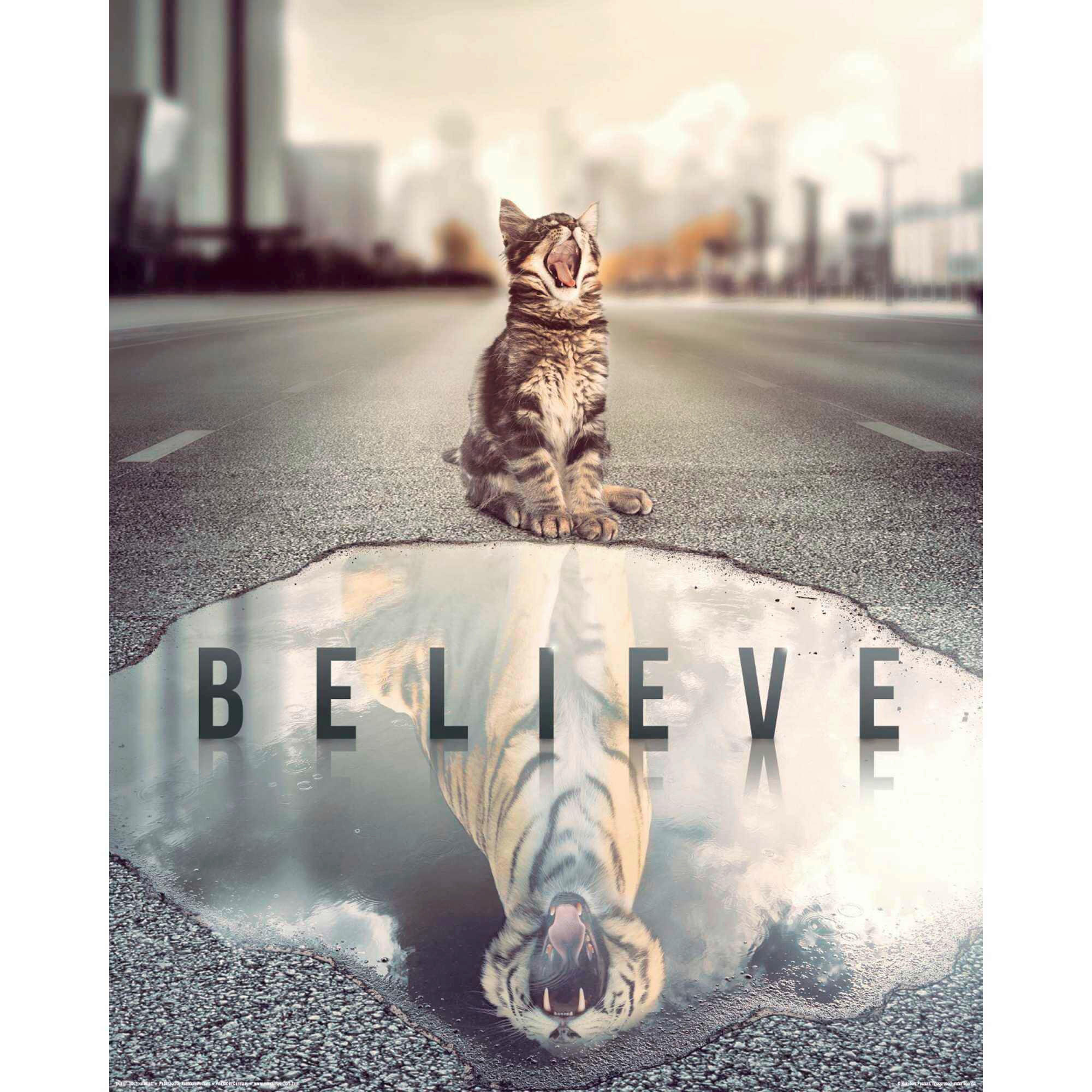 POSTER 40/50 cm  - Multicolor, KONVENTIONELL, Papier (40/50cm) - Reinders!