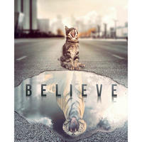 POSTER 40/50 cm  - Multicolor, KONVENTIONELL, Papier (40/50cm) - Reinders!