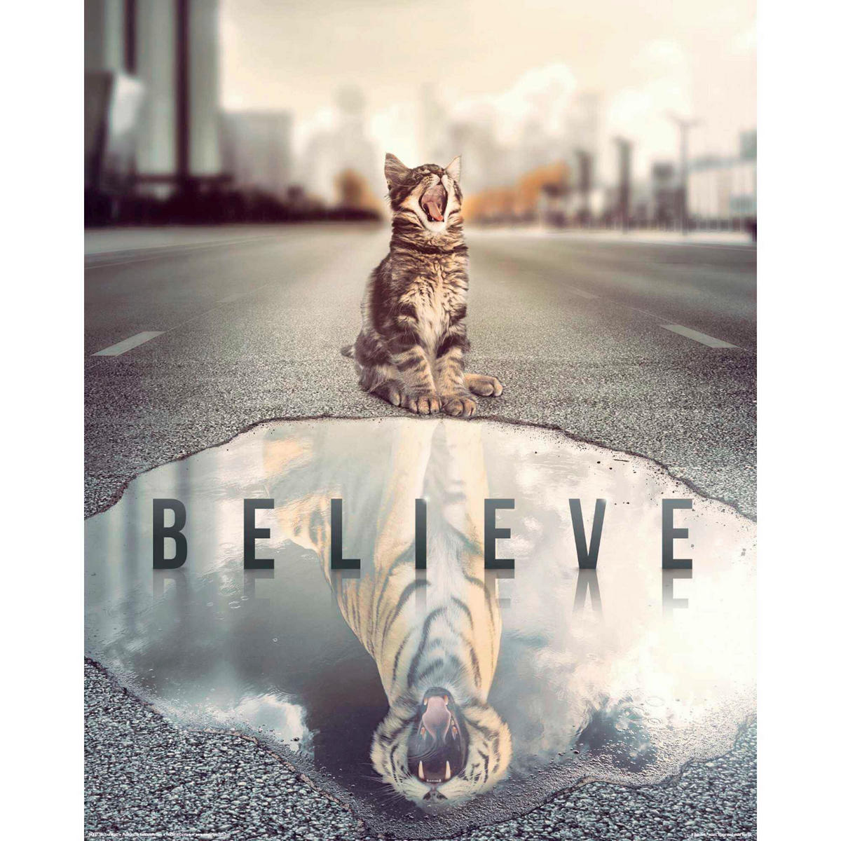 POSTER 40/50 cm  - Multicolor, KONVENTIONELL, Papier (40/50cm) - Reinders!