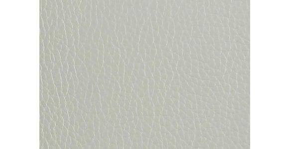 RELAXSESSEL in Leder Hellgrau  - Beige/Hellgrau, Design, Leder/Metall (92/79/82cm) - Dieter Knoll