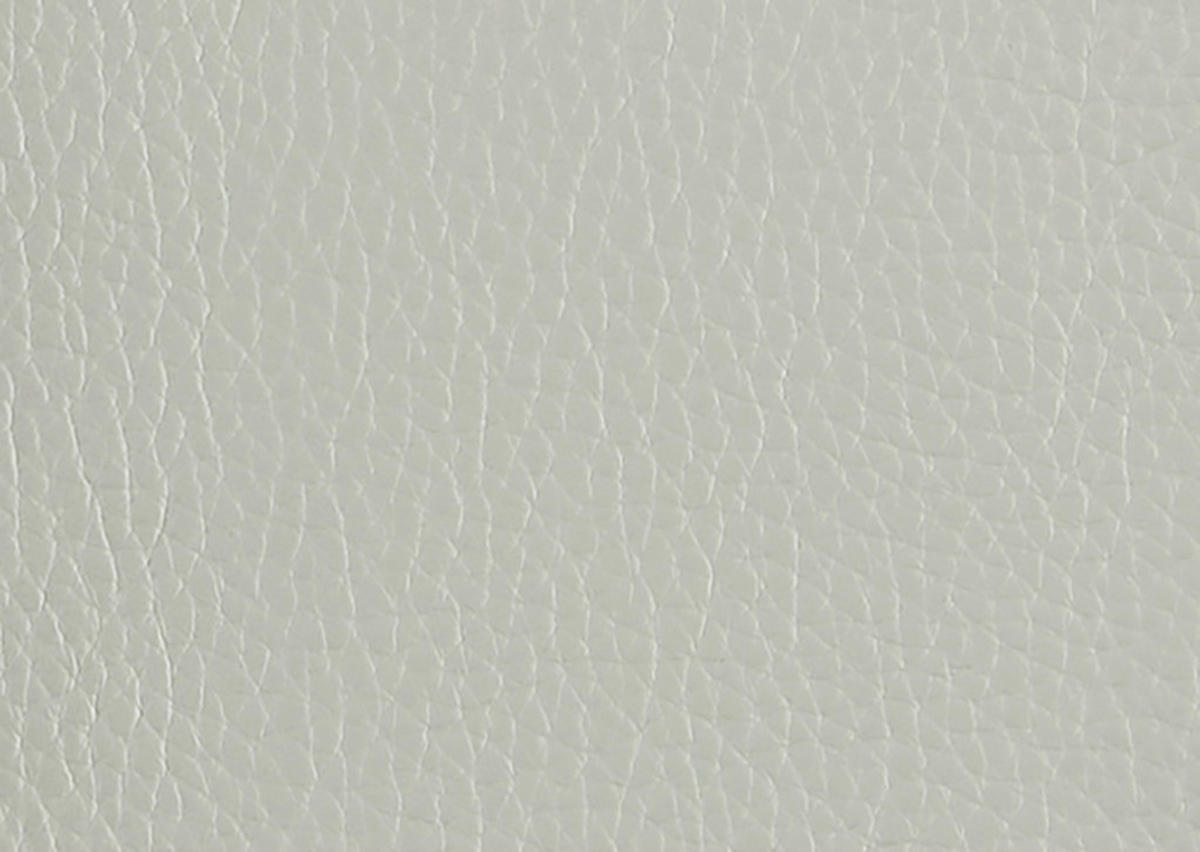 RELAXSESSEL in Leder Hellgrau  - Beige/Hellgrau, Design, Leder/Metall (92/79/82cm) - Dieter Knoll