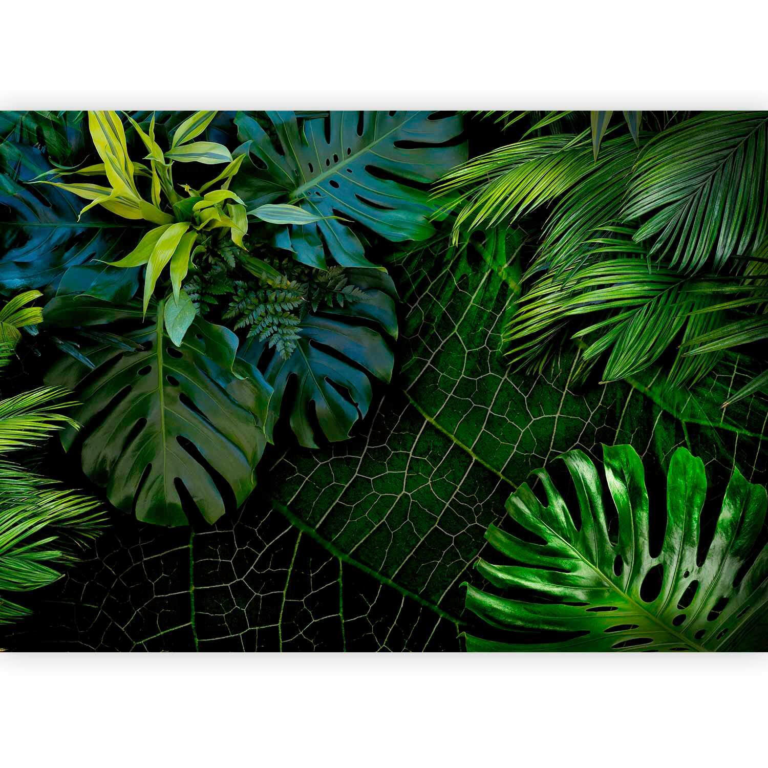 artgeist FOTOTAPETA