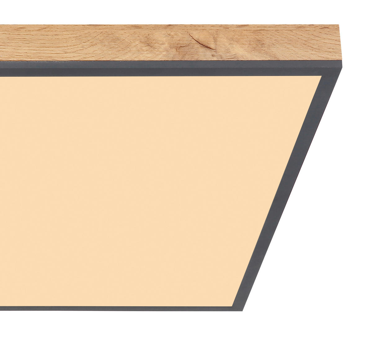 LED PANEL, 59/59/6,5 cm - grafitová/opálová, Basics, kov/plast (59/59/6,5cm) - Globo