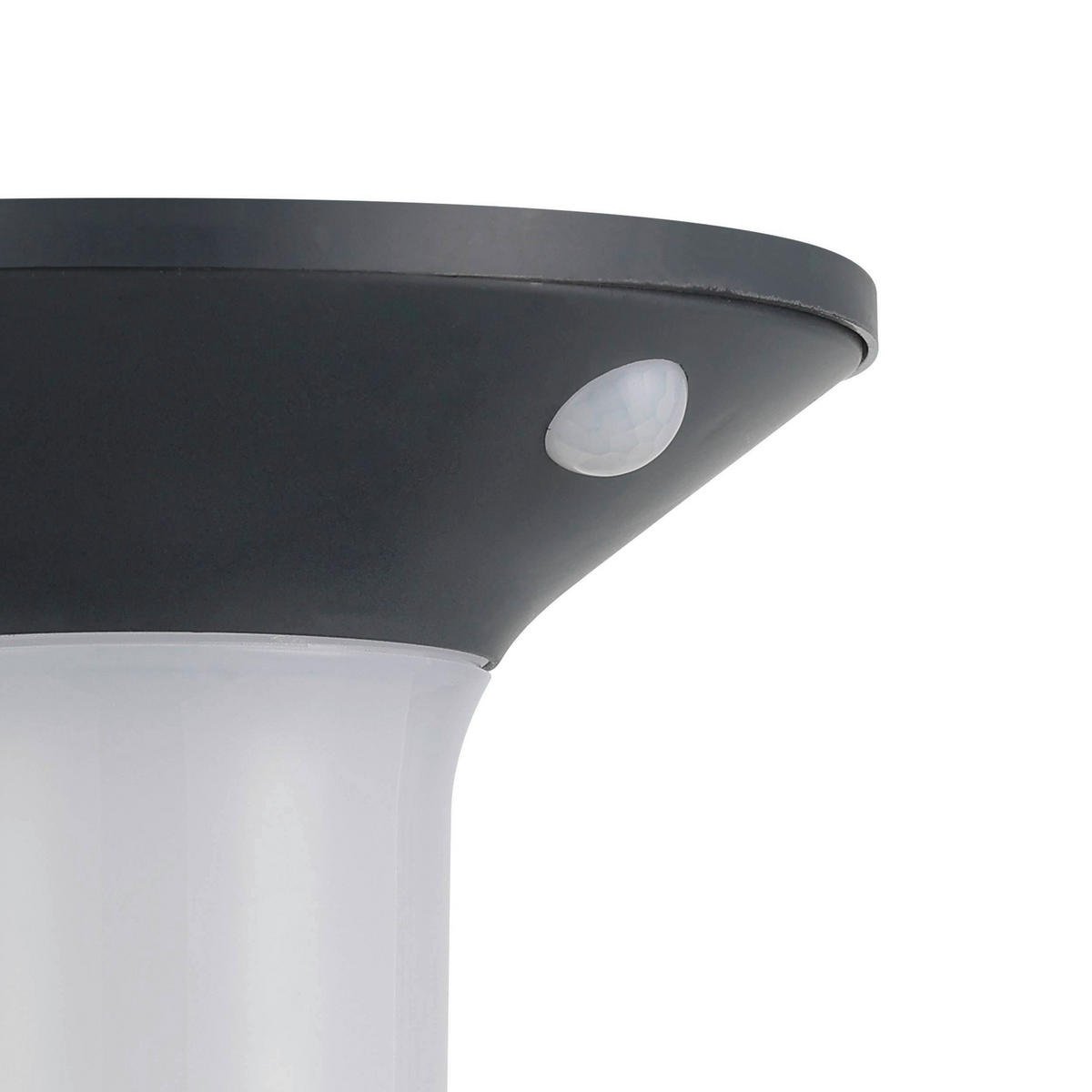 AUßENWANDLEUCHTE - Graphitfarben/Weiß, Basics, Kunststoff (16/16cm) - Eglo