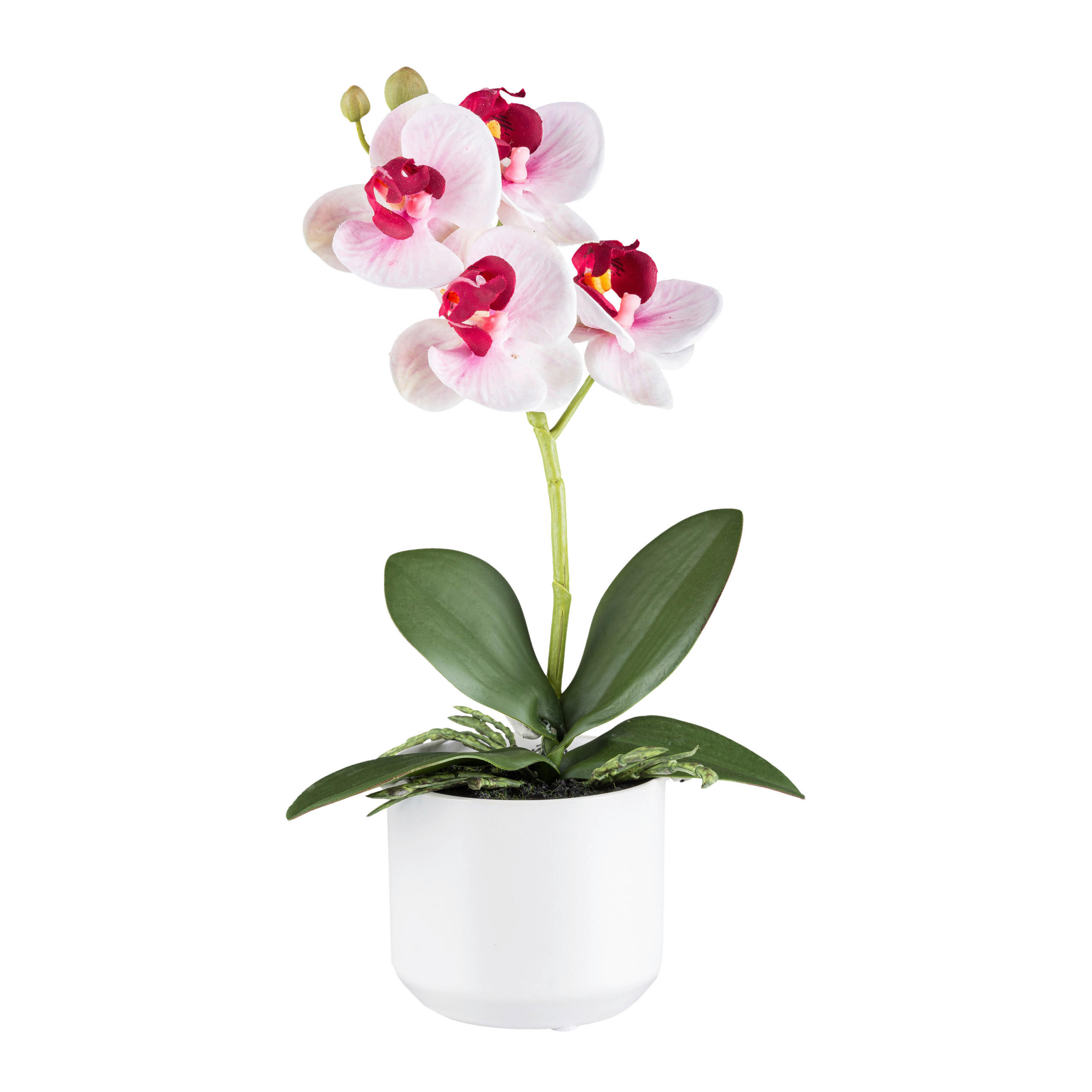 XXXLutz Kunstpflanze Pink, Grün, Rosa, Weiß 27 cm