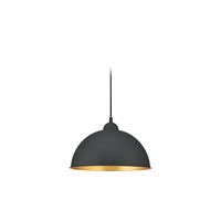 SCHIENENSYSTEM-HÄNGELEUCHTE DUOLINE TRACK-SYSTEM 31/180 cm   - Schwarz, Basics, Metall (31/180cm) - Trio Leuchten