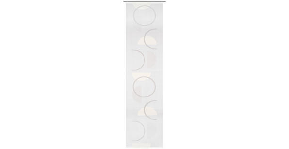 FLÄCHENVORHANG in Grau halbtransparent - Grau, Trend, Textil (60/255cm) - Novel