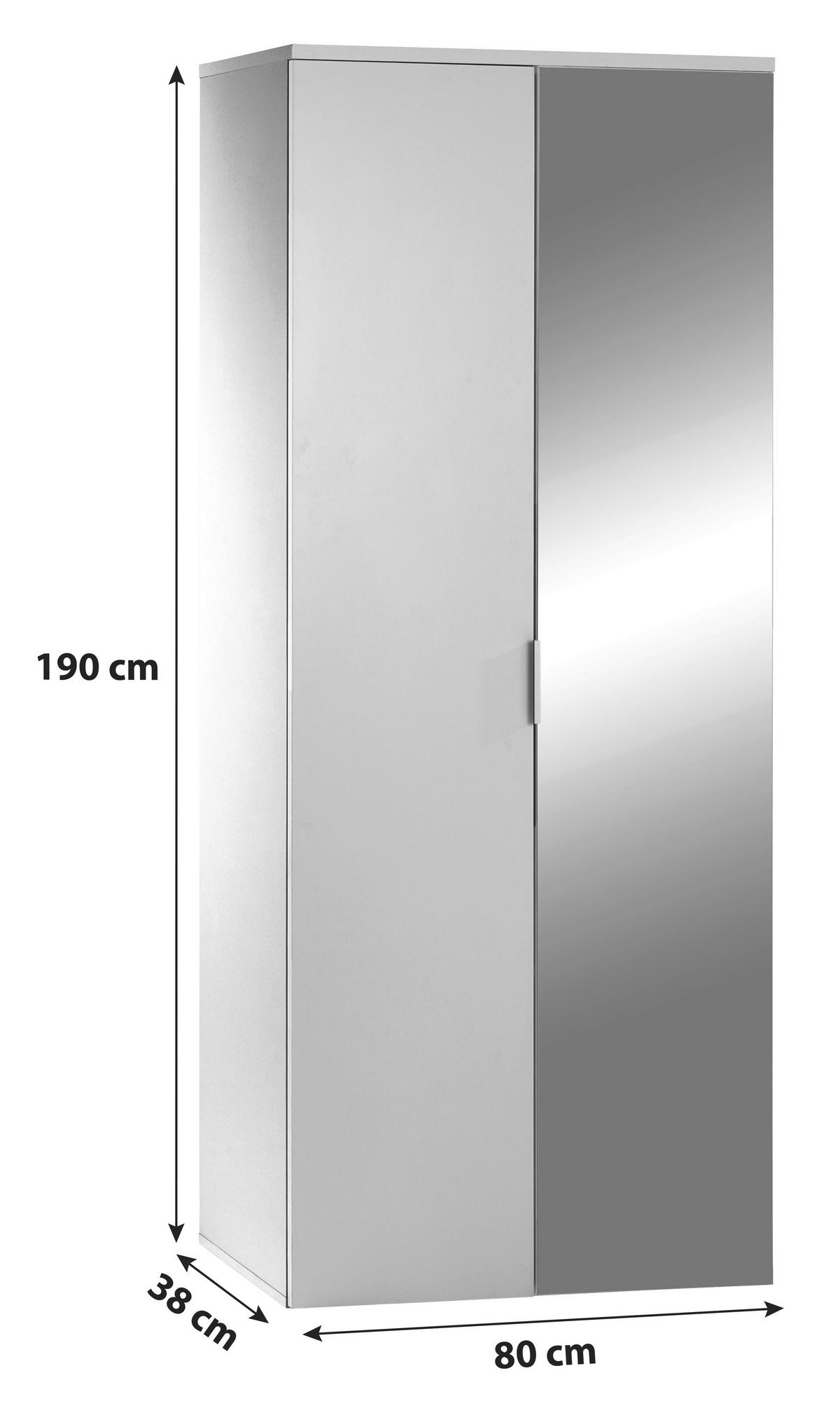 OMARA ZA ČEVLJE bela - bela/barve aluminija, Moderno, kovina/leseni material (80/190/38cm) - Carryhome