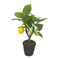 MŰNÖVÉNY - sárga/fekete, Basics, műanyag/textil (31cm) - Ambia Home