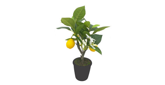 KUNSTPFLANZE 31 cm - Gelb/Schwarz, Basics, Kunststoff/Textil (31cm) - Ambia Home