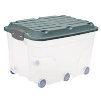 BOX MIT DECKEL ROLLER 6  - Transparent/Grün, Basics, Kunststoff (59,5/40/37cm) - Rotho