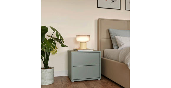 NACHTSCHRANK 50/48/42 cm  - Salbeigrün/Silberfarben, Trend, Holzwerkstoff/Kunststoff (50/48/42cm) - Carryhome