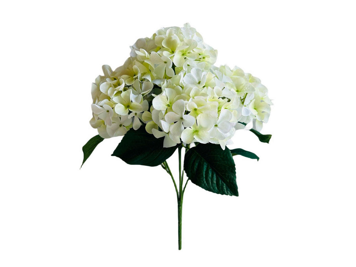 KUNSTPFLANZE  - Weiss/Creme, Natur (ca. 40 cm cm)