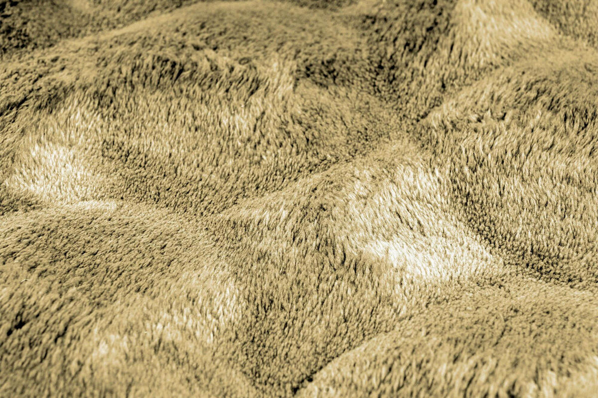 HOCHFLORTEPPICH 200/200 cm Honig rund  - Honig, Basics, Textil (200/200cm) - Kayoom