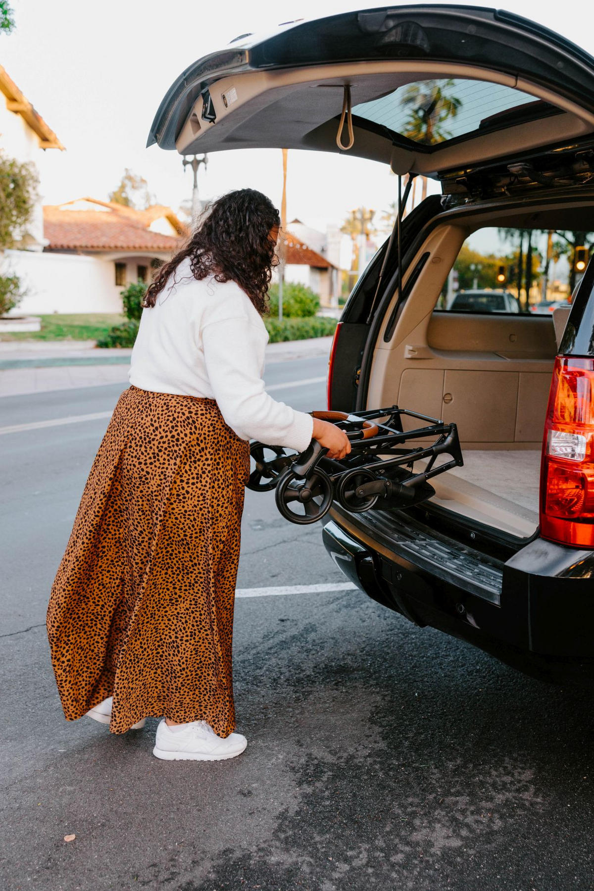 HUNDEBUGGY P2 Pet Stroller  - Schwarz/Grau, Basics, Textil/Metall (68/44/100cm) - WONDERFOLD