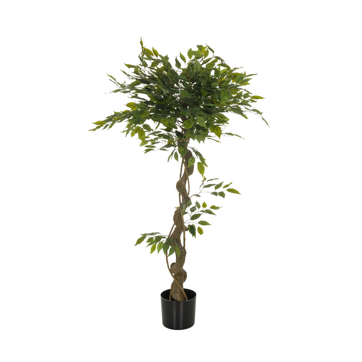 KUNSTPFLANZE Ficus Benjamina  - Schwarz/Braun, Basics, Kunststoff (70/120/70cm) - MID.YOU
