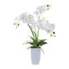 KUNSTPFLANZE Orchidee 67 cm  - Weiß/Grün, Design, Keramik/Kunststoff (67cm) - P & B