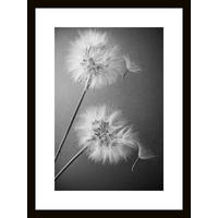 GLASBILD Blumen  - Schwarz/Weiß, Basics, Glas (30/40/1,40cm) - Euroart
