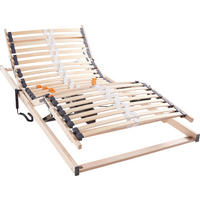 ELEKTRISCHER LATTENROST 90/200 cm Kopfteil, Fußteil, Mittelzone verstellbar, Birke  - Birkefarben, Basics, Holz (90/200cm) - Livetastic
