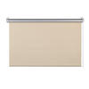 ROLLO  halbtransparent  100/160 cm    - Beige, LIFESTYLE, Kunststoff (100/160cm)