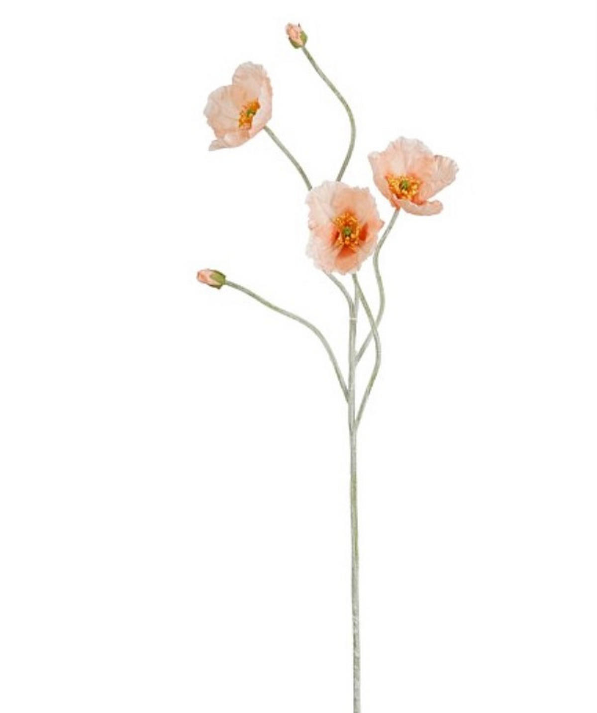 DEKORKVIST - ljusgrön/aprikos, Basics (107cm)