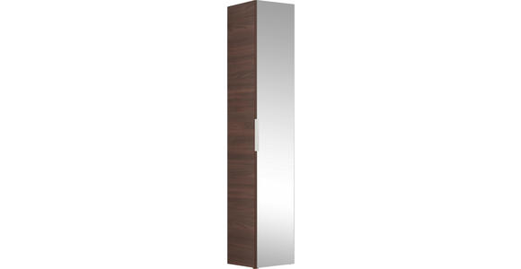 HOCHSCHRANK 30/168/33 cm - Braun, Design, Glas/Holzwerkstoff (30/168/33cm) - Dieter Knoll