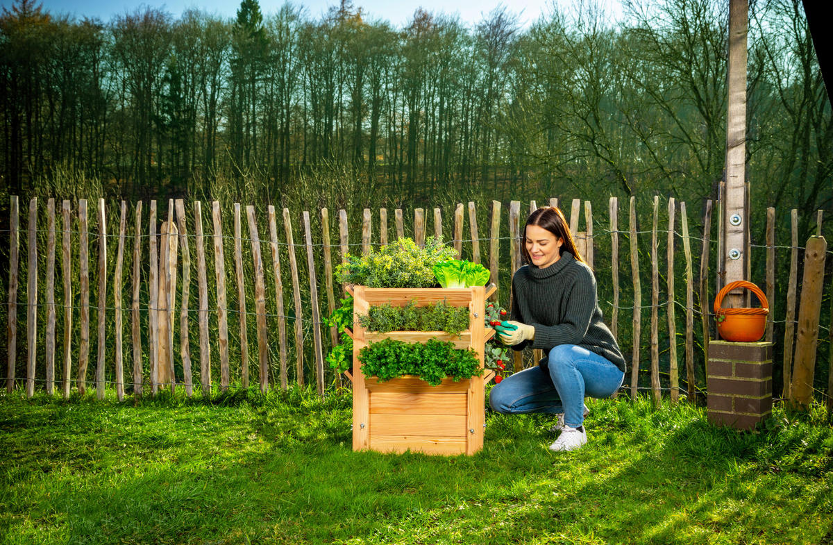 VYVÝŠENÝ ZÁHON   - farba smrekovca, Basics, drevo (65/73/65cm)